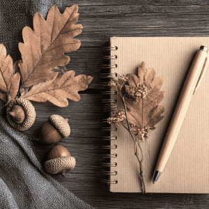bilan de saison carnet avec un stylo feuilles de chêne et glands